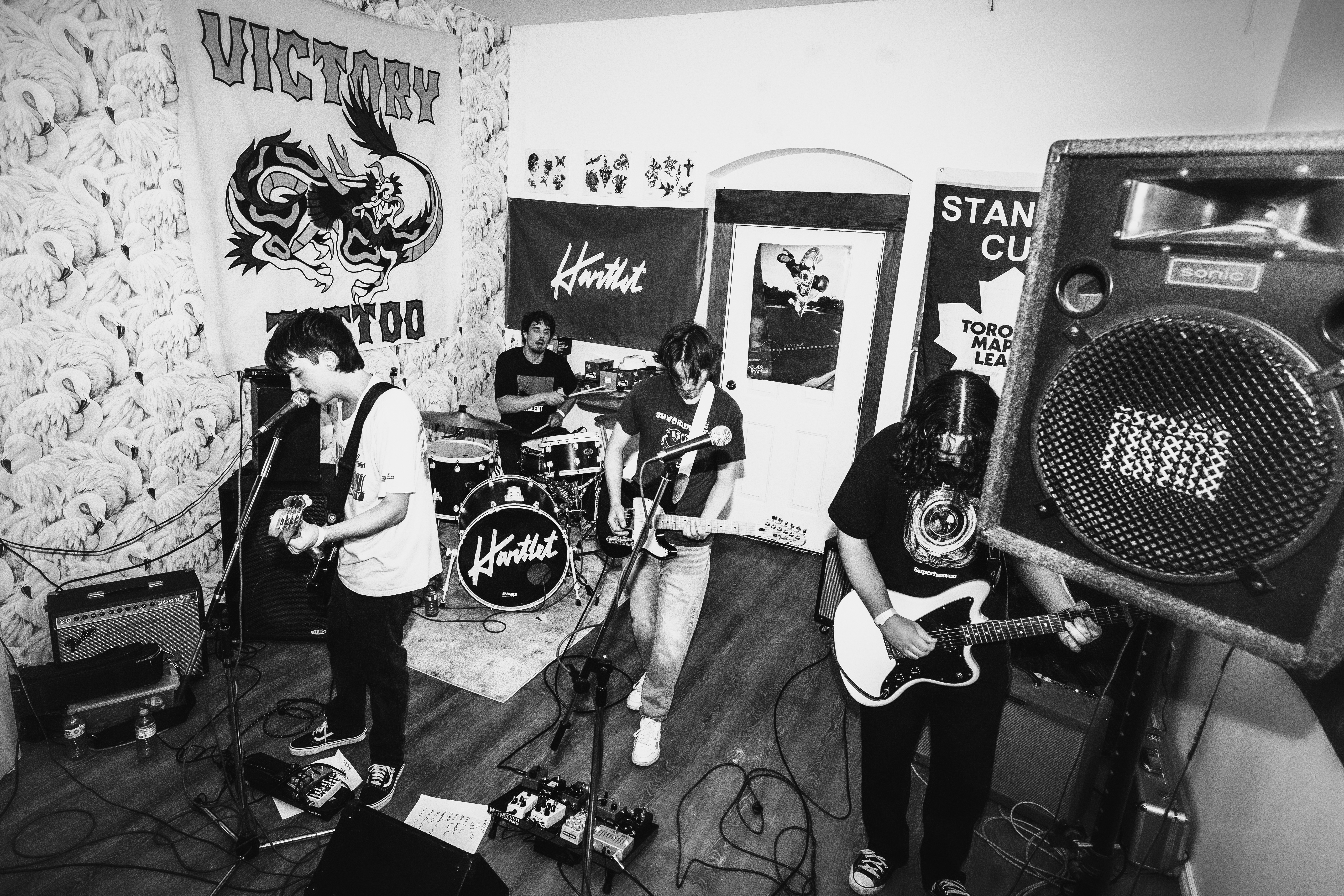 From The Ceiling live photo 1